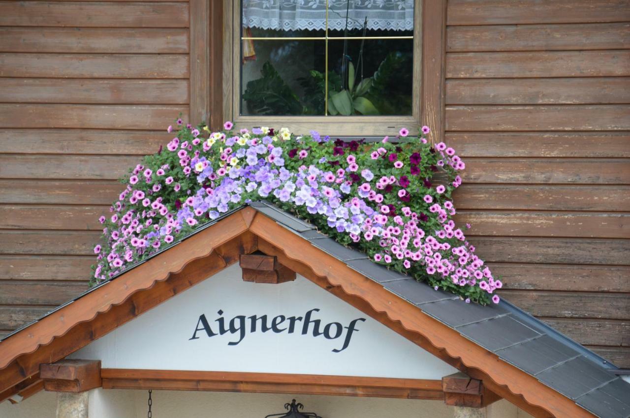 Villa Aignerhof Haus im Ennstal Exterior foto